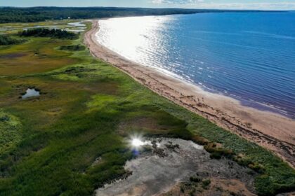 ns.-gov’t-protects-1,300-hectares-of-land-amid-criticism-over-its-openness-to-development