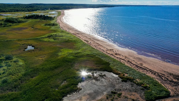 ns.-gov’t-protects-1,300-hectares-of-land-amid-criticism-over-its-openness-to-development