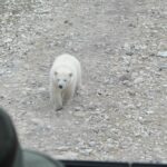 visitors-spent-record-amount-in-province-in-2024,-but-downturn-expected:-travel-manitoba