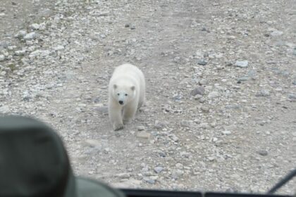 visitors-spent-record-amount-in-province-in-2024,-but-downturn-expected:-travel-manitoba