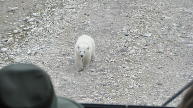 visitors-spent-record-amount-in-province-in-2024,-but-downturn-expected:-travel-manitoba