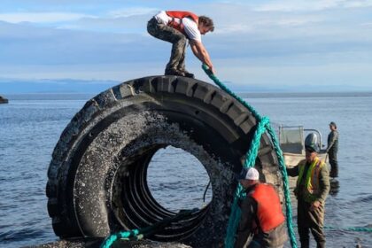 giant-industrial-tires-removed-from-beach-near-campbell-river,-bc.