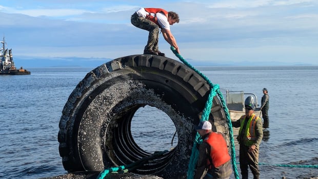 giant-industrial-tires-removed-from-beach-near-campbell-river,-bc.