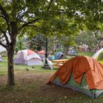 winnipeg-councillor,-outreach-advocate-look-to-halifax-for-lessons-on-managing-homeless-encampments