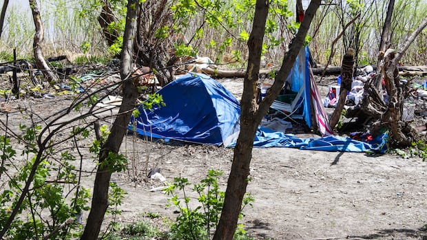 city-of-winnipeg-committee-backs-restricting-tent-camps-as-advocates-call-for-managed-encampment