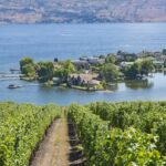 kelowna-is-the-1st-canadian-city-recognized-by-unesco-for-its-food-and-cuisine