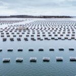 province-says-it’s-pitching-support-program-for-pei.’s-oyster-industry-to-ottawa-‘this-week’