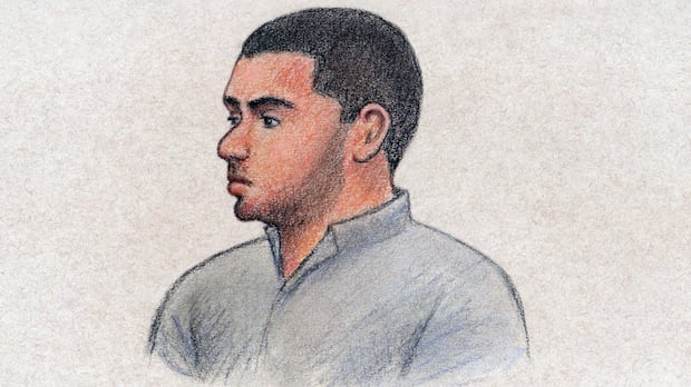 accused-in-2024-ottawa-mass-killing-expected-to-plead-guilty