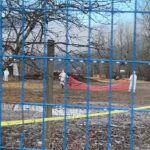 crews-in-hazmat-suits-move-in-on-ostriches-at-bc.-farm-after-top-court-dismisses-appeal-to-save-flock