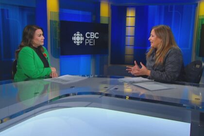 from-manicures-to-facials,-most-beauty-services-on-pei.-arent-regulated-but-that-could-soon-change