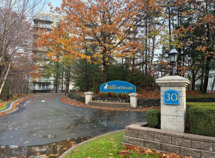 pair-accused-of-defrauding-condo-corporations-in-halifax-area