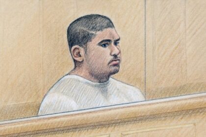 man-pleads-guilty-to-‘monstrous’-2024-stabbing-attack-that-killed-6