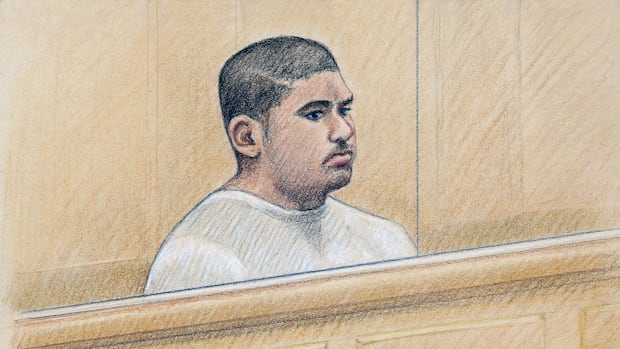 man-pleads-guilty-to-‘monstrous’-2024-stabbing-attack-that-killed-6