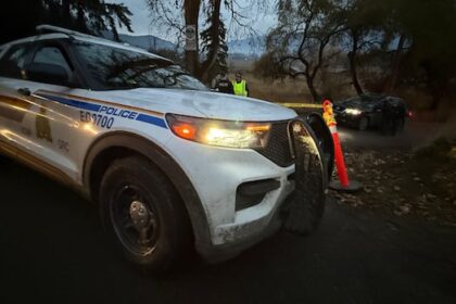 gunshots-ring-out-at-universal-ostrich-farm-in-edgewood,-bc.