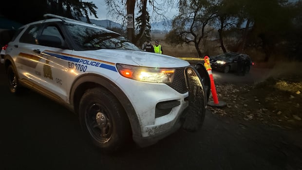 gunshots-ring-out-at-universal-ostrich-farm-in-edgewood,-bc.