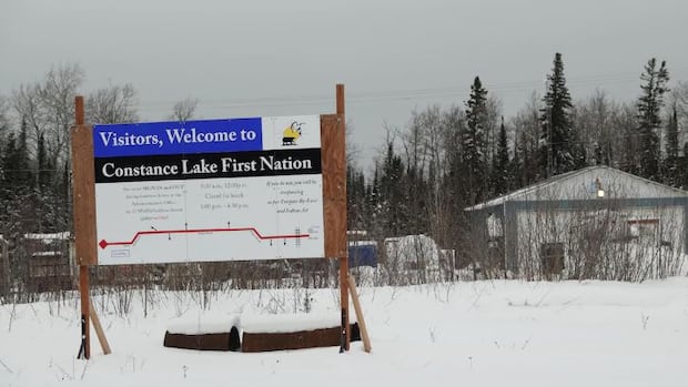 ‘it’s-not-case-closed’:-environmental-group-still-searching-for-blastomycosis-in-northern-ontario-first-nation