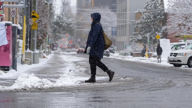 substantial-sunday-snowfall-possible-in-and-around-ottawa-gatineau