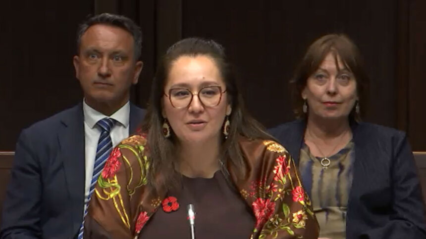 mandy-gull-masty-calls-senates-push-to-end-the-second-generation-cutoff-racism