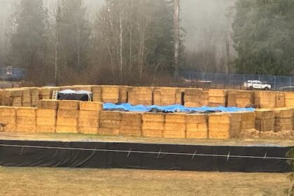 marksmen-complete-cull-at-bc.-ostrich-farm,-cfia-says