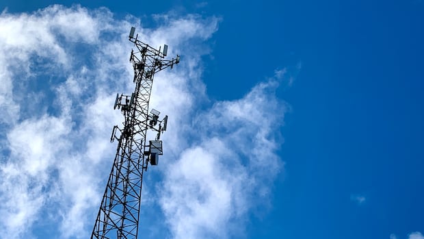 telecom-partnerships-needed-to-bring-better-cell-service-to-pei.,-says-innovation-minister