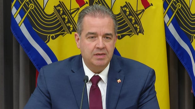 province-releases-accessibility-plan-for-nb.,-some-advocates-cautiously-optimistic