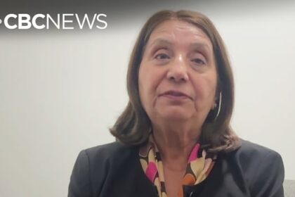 former-mla-calls-for-co-ordinated-government-response-after-surrey-cafe-hit-with-bullets-a-3rd-time