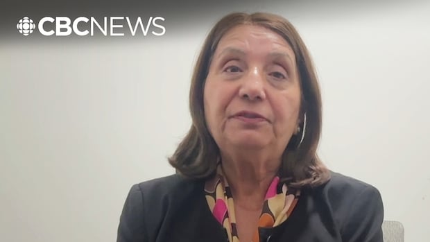 former-mla-calls-for-co-ordinated-government-response-after-surrey-cafe-hit-with-bullets-a-3rd-time