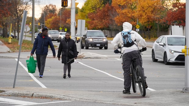 bill-60-threatens-‘dream’-of-multi-use-pathway-on-orleans-boulevard,-says-councillor