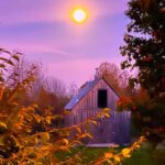 autumnal-views:-enjoy-these-photos-from-around-new-brunswick