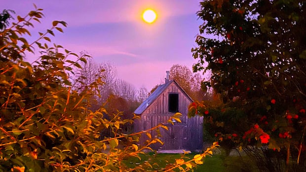 autumnal-views:-enjoy-these-photos-from-around-new-brunswick