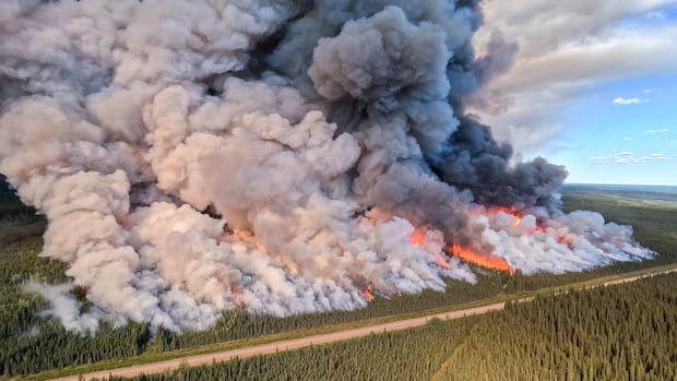 bc.-government-fined-$759k-by-workplace-safety-agency-after-death-of-wildfire-fighter