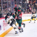 young-mooseheads-learn-certain-patterns-shouldn’t-be-repeated