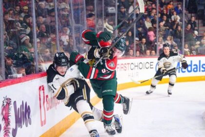 young-mooseheads-learn-certain-patterns-shouldn’t-be-repeated