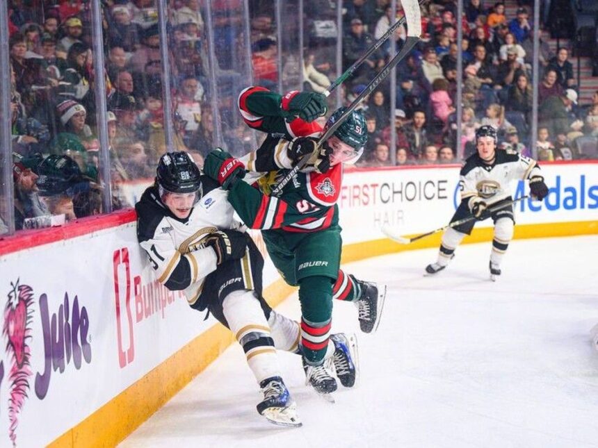 young-mooseheads-learn-certain-patterns-shouldn’t-be-repeated