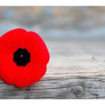 there-can-be-no-signs-of-favouritism:-nova-scotia-chief-judges-explain-poppy-ban