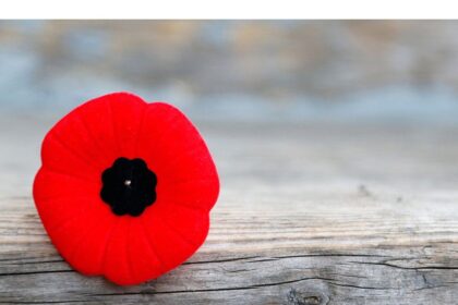 there-can-be-no-signs-of-favouritism:-nova-scotia-chief-judges-explain-poppy-ban