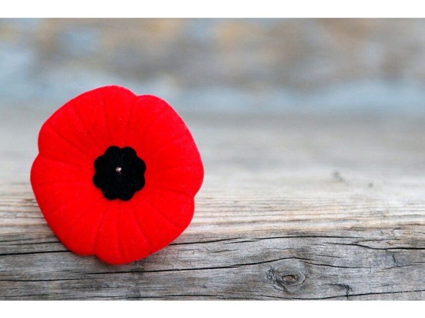 there-can-be-no-signs-of-favouritism:-nova-scotia-chief-judges-explain-poppy-ban