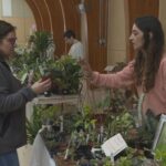 violets,-vines,-succulents-and-the-people-who-love-them