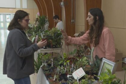 violets,-vines,-succulents-and-the-people-who-love-them