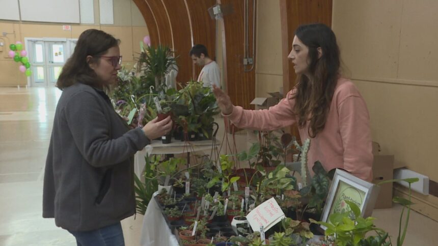 violets,-vines,-succulents-and-the-people-who-love-them