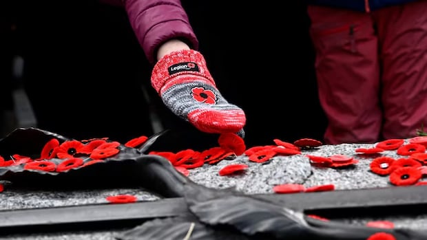 remembrance-day-2025:-what’s-open-and-closed-on-pei.?