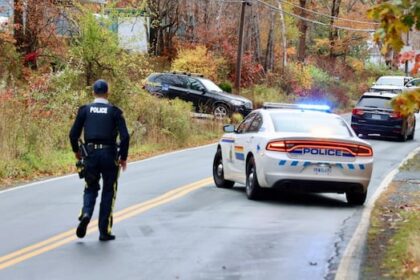 man-charged-after-october-incident-that-led-to-waverley-emergency-alert