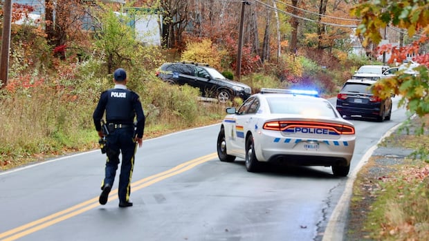 man-charged-after-october-incident-that-led-to-waverley-emergency-alert