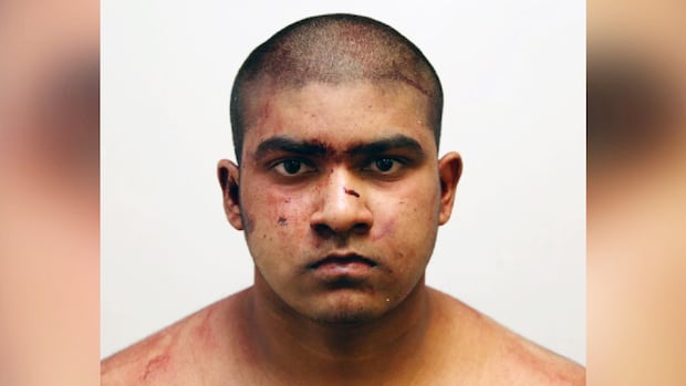 guilty-pleas-for-1st-degree-murder-rare,-legal-experts-say-after-sentencing-of-ottawa-family’s-killer