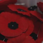 here’s-where-manitobans-can-commemorate-remembrance-day