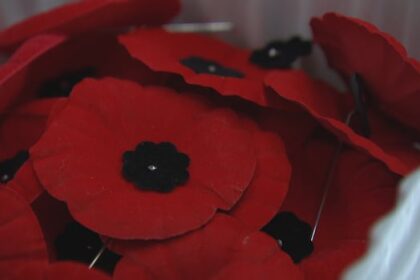 here’s-where-manitobans-can-commemorate-remembrance-day