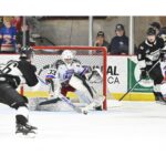 bourret-records-first-mhl-win,-shutout-vs.-miramichi