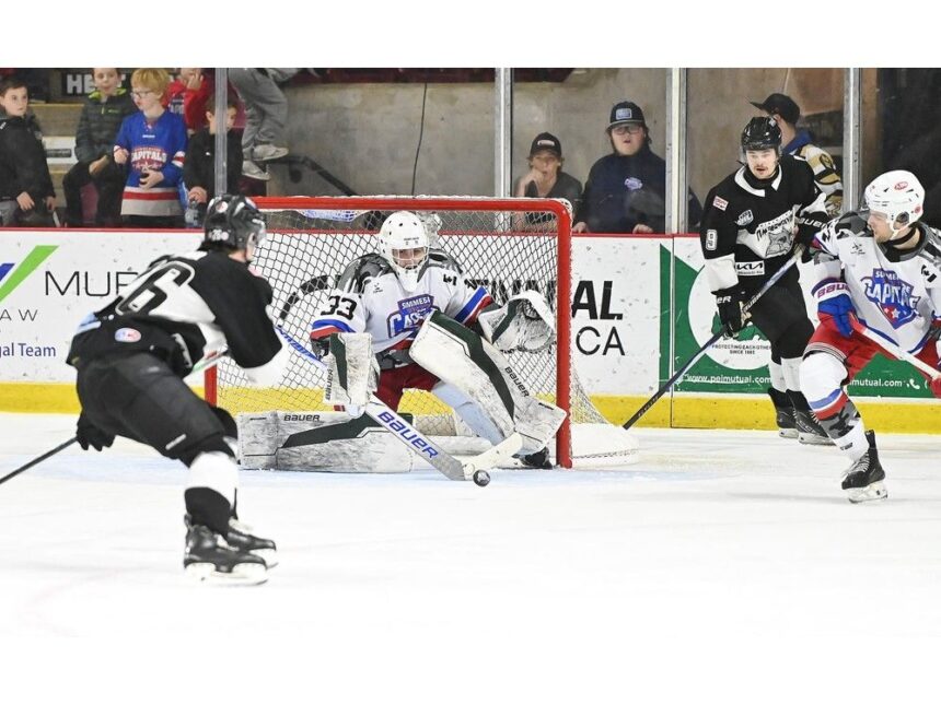 bourret-records-first-mhl-win,-shutout-vs.-miramichi