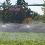 as-summers-get-drier,-irrigation-becomes-a-top-priority-for-pei.-farmers