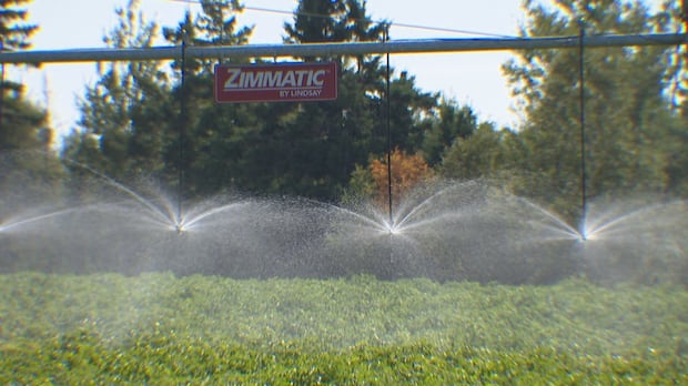 as-summers-get-drier,-irrigation-becomes-a-top-priority-for-pei.-farmers